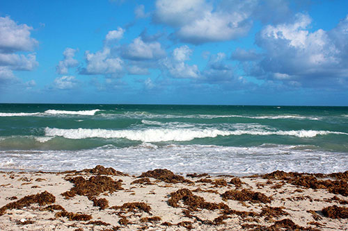 Beach Photo