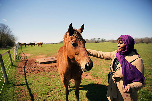 woman pets horse