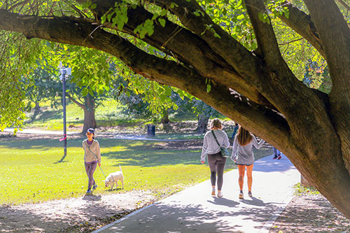 Piedmont park